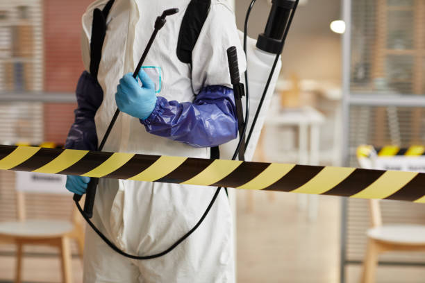 Professional Blood Cleanup technician working in Mims, FL